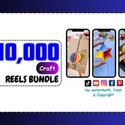 🎨 Art Craft Reels Bundle: All-in-One Vol 1 to Vol 5 (10,000 Videos) 🎥